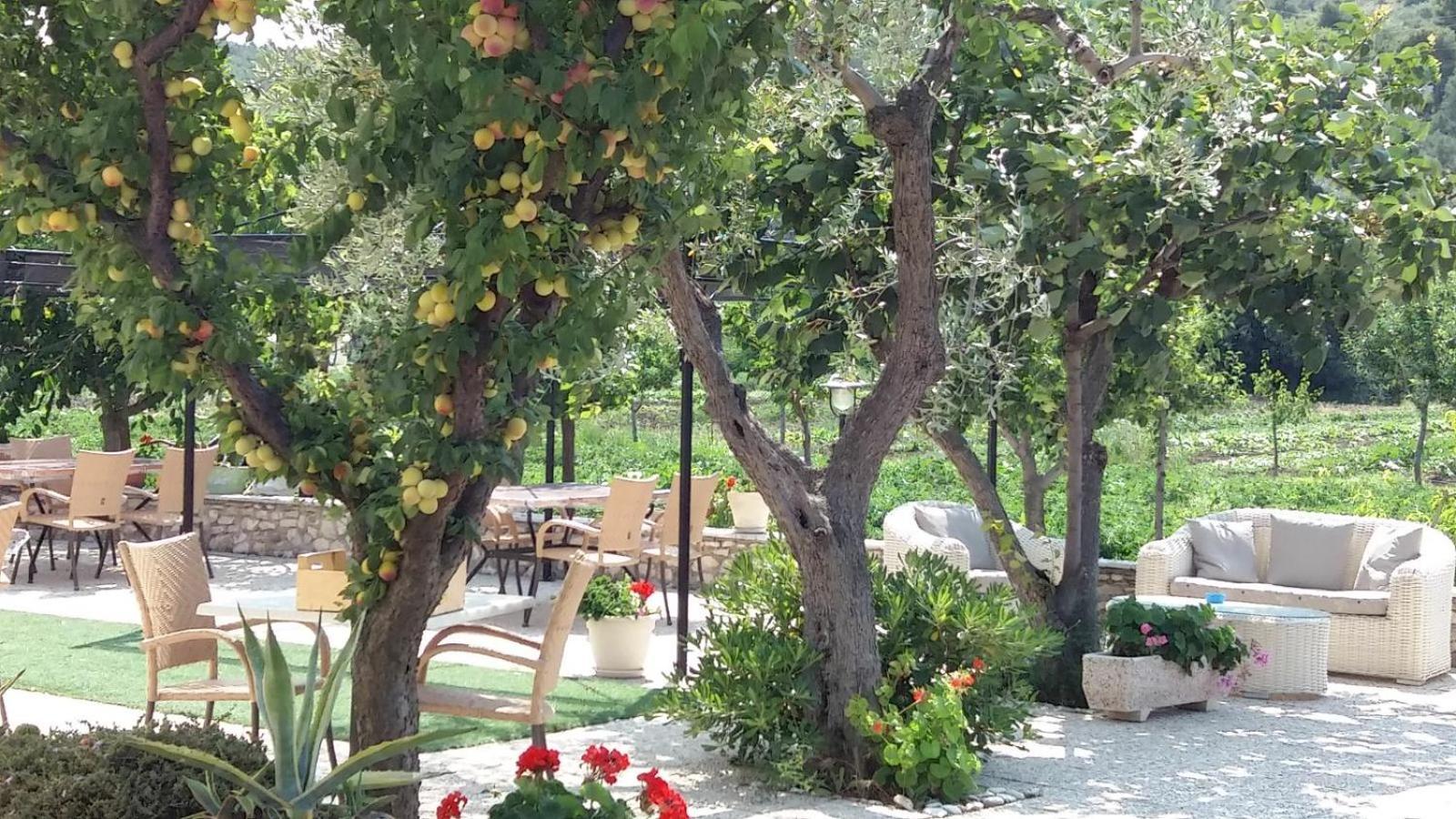 Il Gelso Bianco Otel Vieste Dış mekan fotoğraf